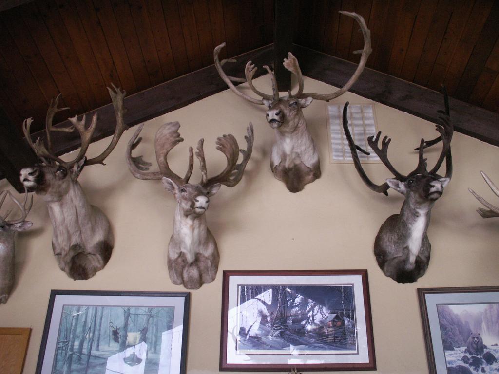 Whitebird Summit Lodge Grangeville المظهر الخارجي الصورة