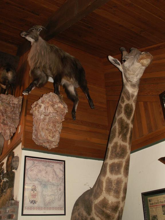 Whitebird Summit Lodge Grangeville المظهر الخارجي الصورة