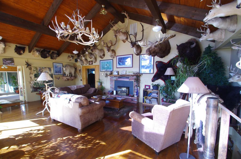 Whitebird Summit Lodge Grangeville المظهر الخارجي الصورة