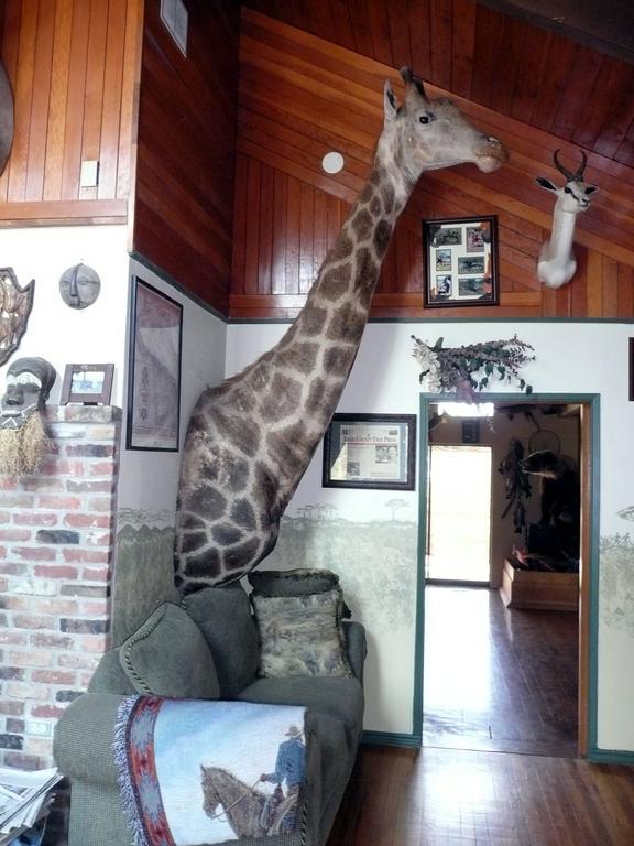 Whitebird Summit Lodge Grangeville المظهر الخارجي الصورة