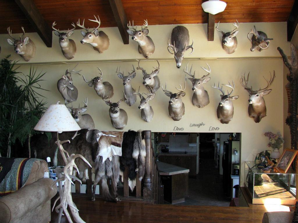 Whitebird Summit Lodge Grangeville المظهر الخارجي الصورة