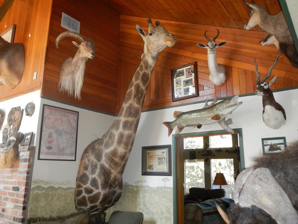 Whitebird Summit Lodge Grangeville المظهر الخارجي الصورة