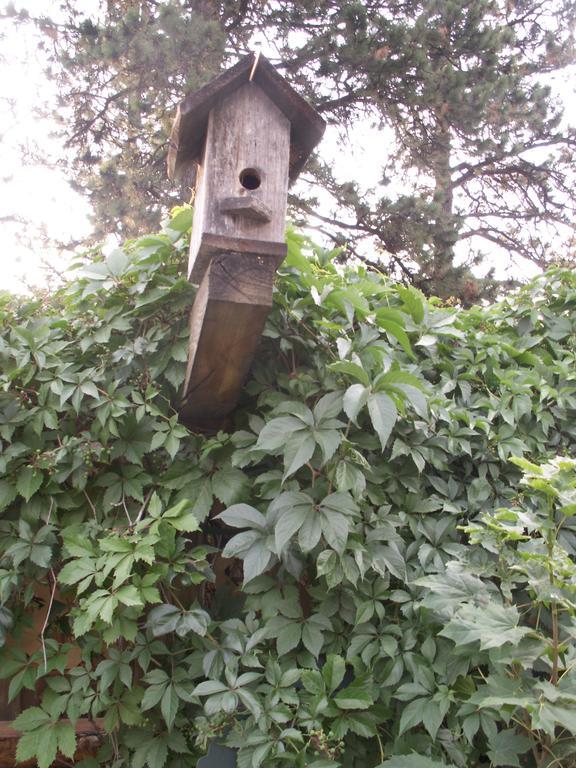 Whitebird Summit Lodge Grangeville المظهر الخارجي الصورة